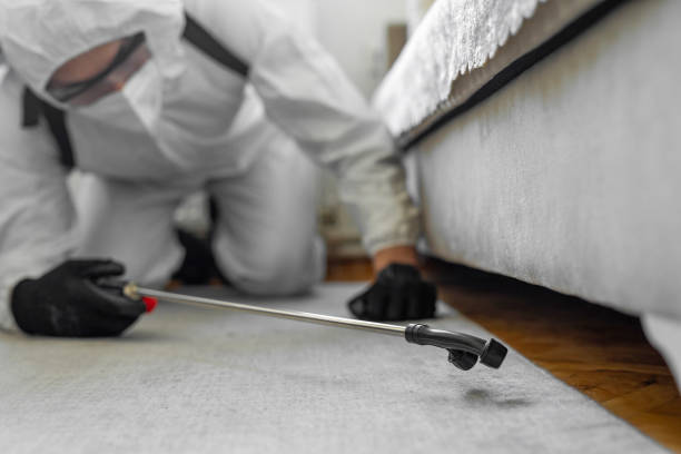 Professional Termite Control technician working in Canutillo, TX