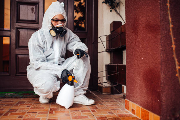Reliable Termite Control contractor in Canutillo, TX by Nex Pest Control