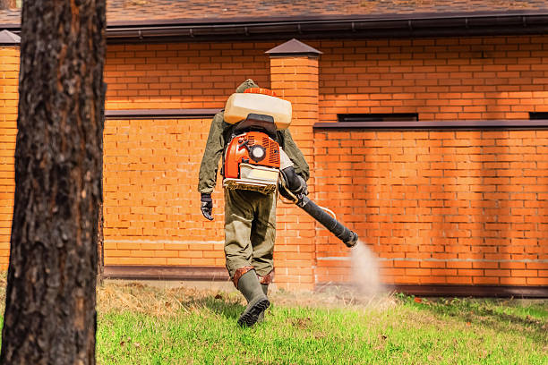 Top rated local Termite Control specialists in Canutillo, TX